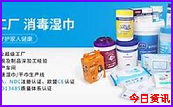 演员李小冉的个人资料简介